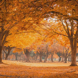 november