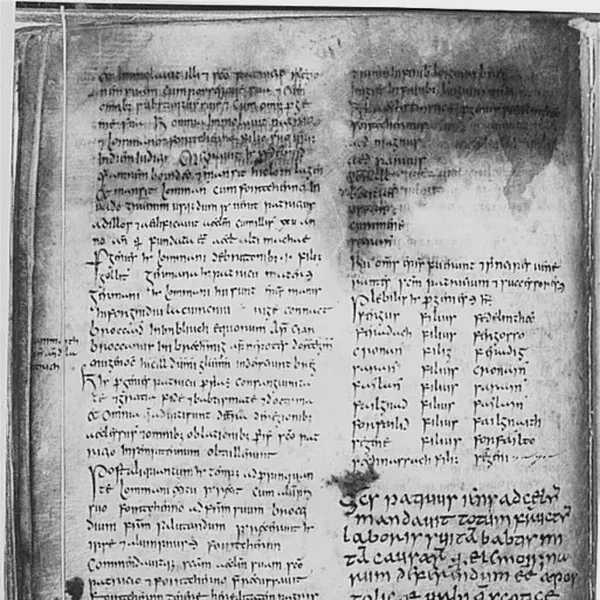 /images/tich/Book_of_Armagh.webp