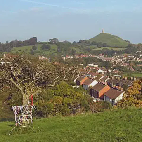 /images/tich/Glastonbury_Thorn_and_Tor.webp